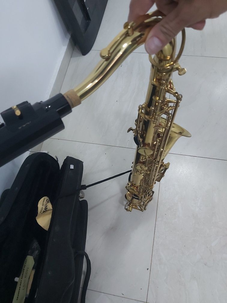 Saxofon Roy Benson TS 101(ctg)