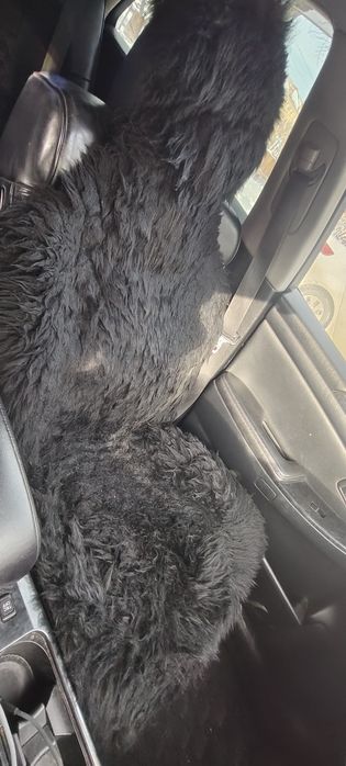 Продам чехол на машину