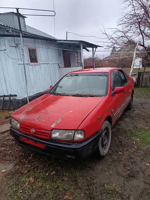 Ниссан Примера по 10 разбор