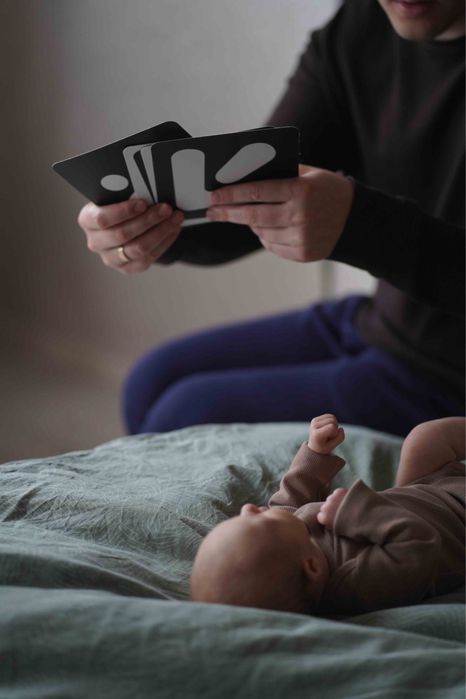 Образователни карти