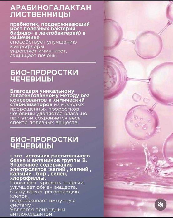 АРАБИНОГАЛАКТАН ( натуральный пребиотик )