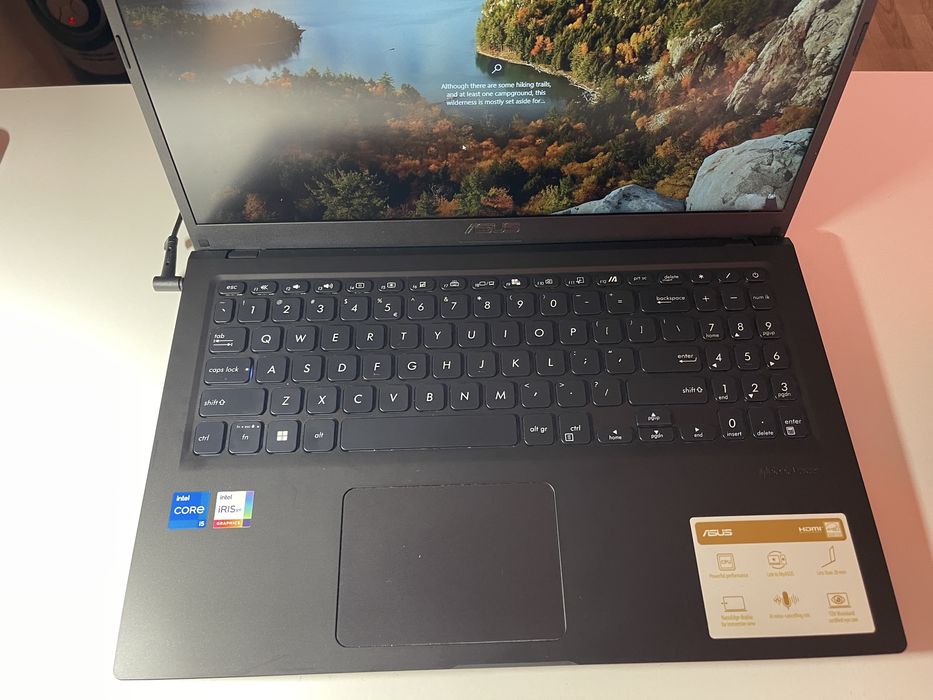 Asus VivoBook 15