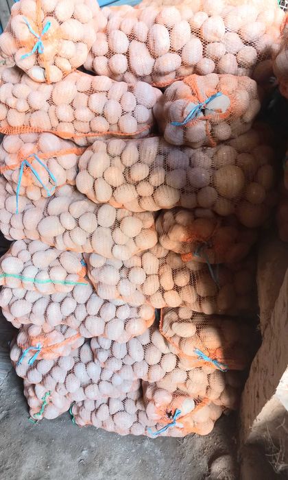 Cartofi paradiso 55+