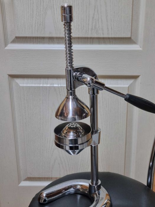 vand storcator profesional citrice