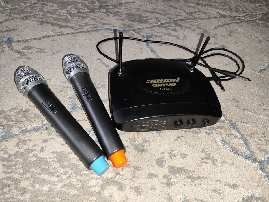 Набор микрофонов Sound Wave SW22
