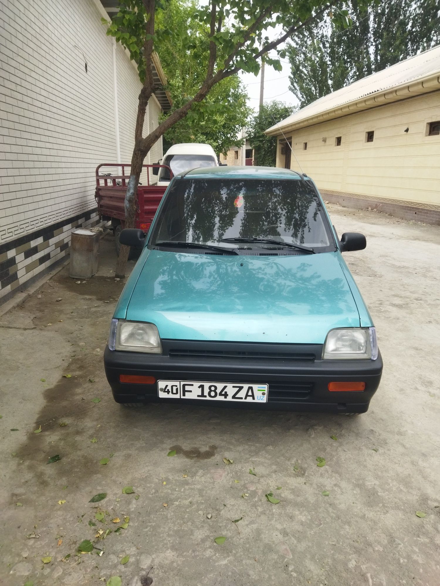 Tiko 2000 yil zoʻr xolata