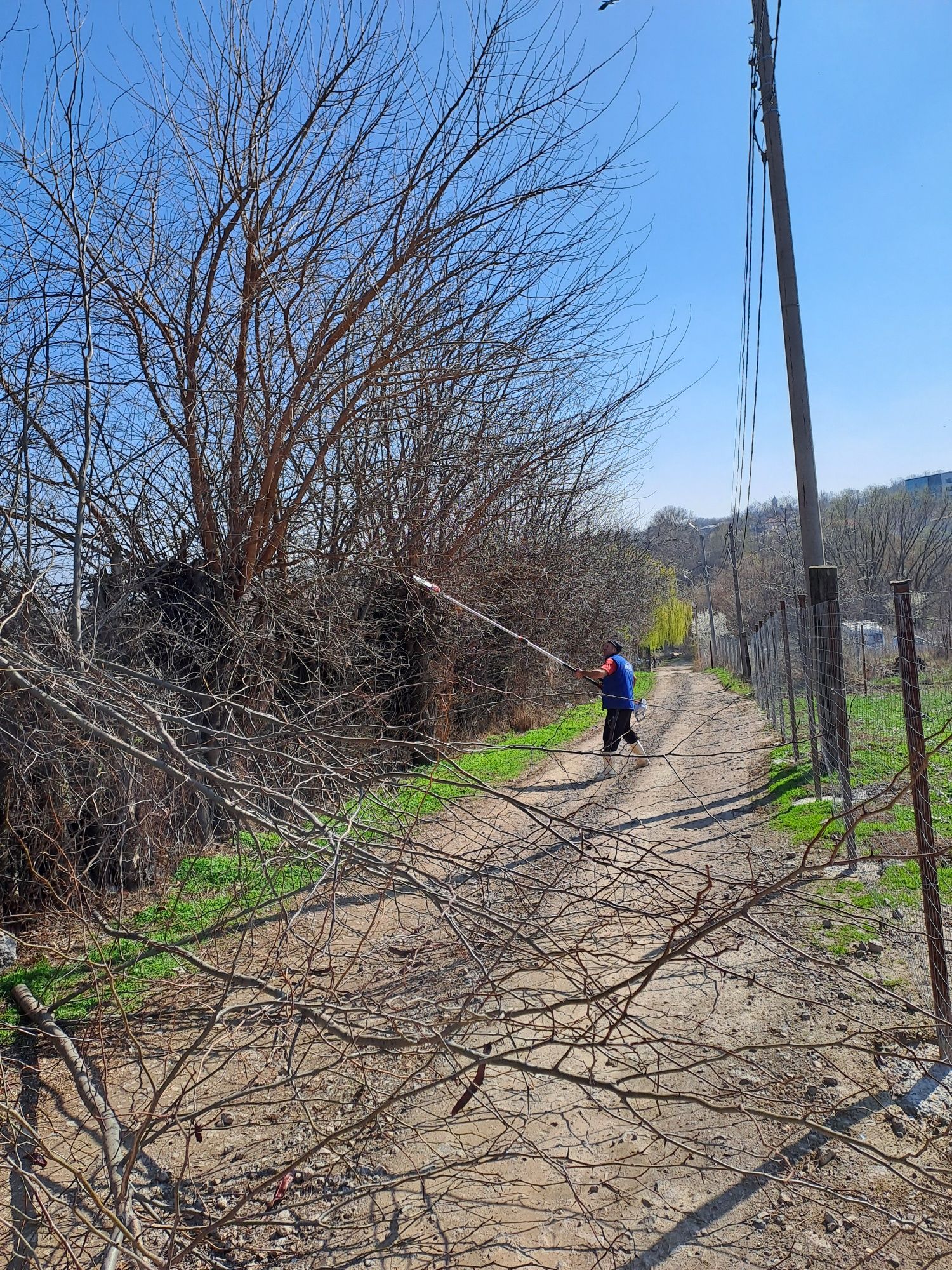 Tuns Gazon/Tuns Iarbă/Defrișări/Tăiere Arbori/Rapid.