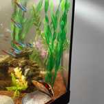 Plante artificiale acvariu