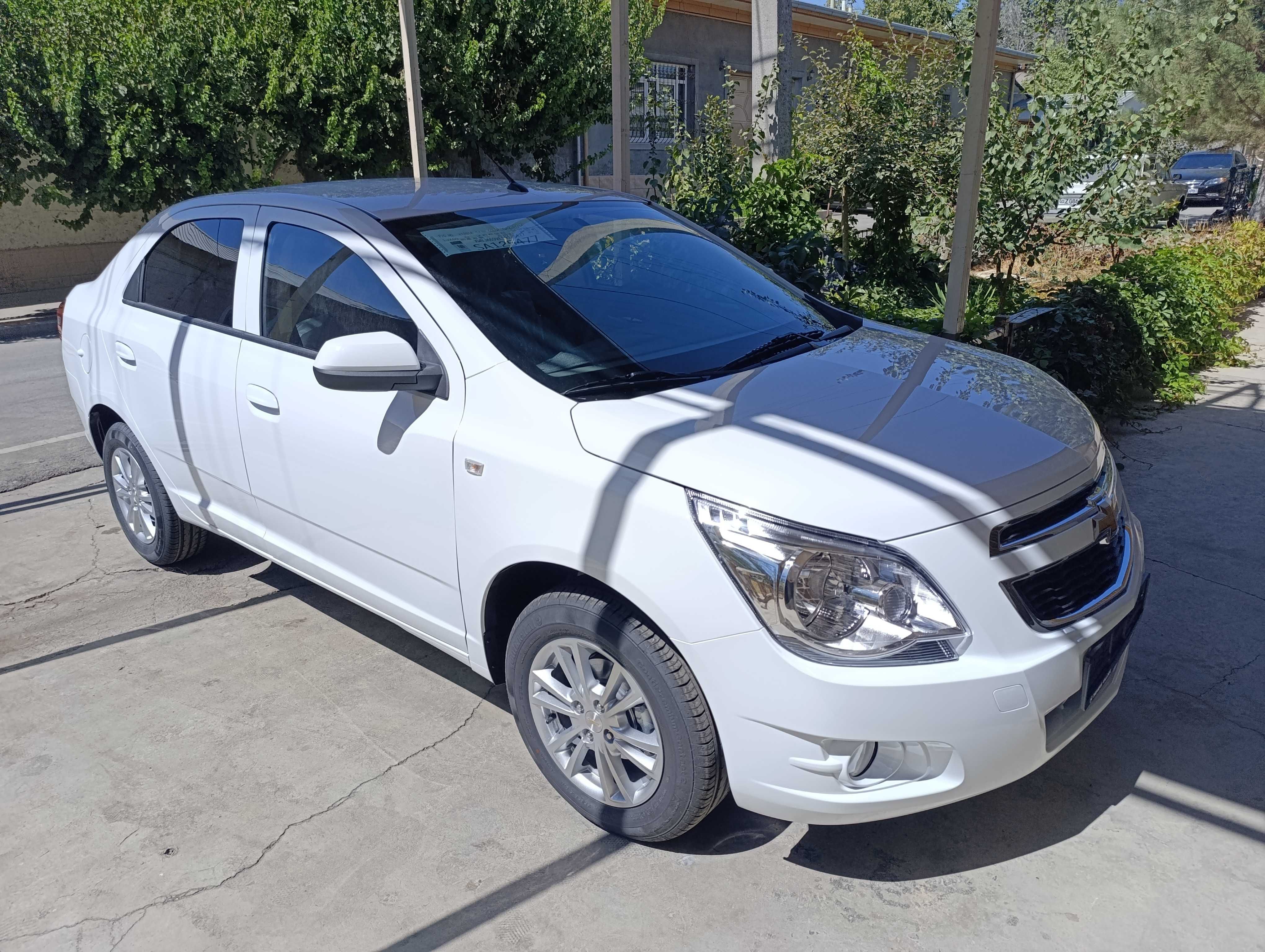 Cobalt stayl plus AT 2025