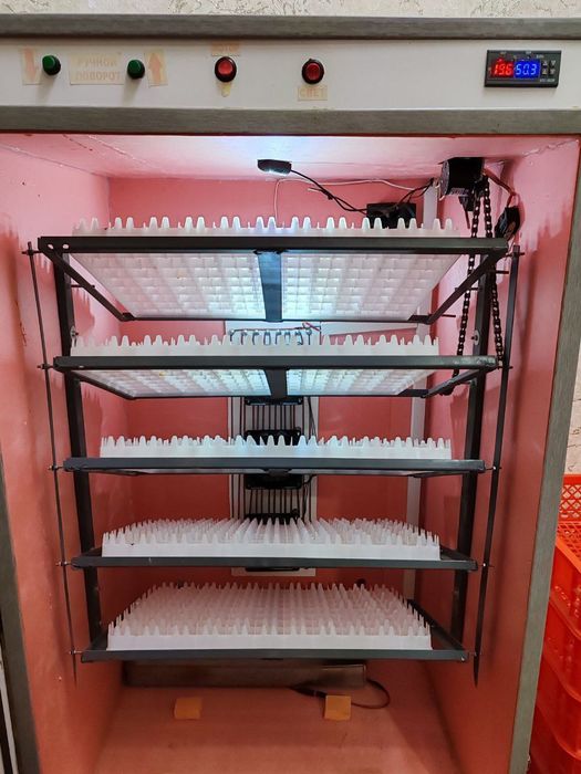 Inkubator
 500 talik komplekt full