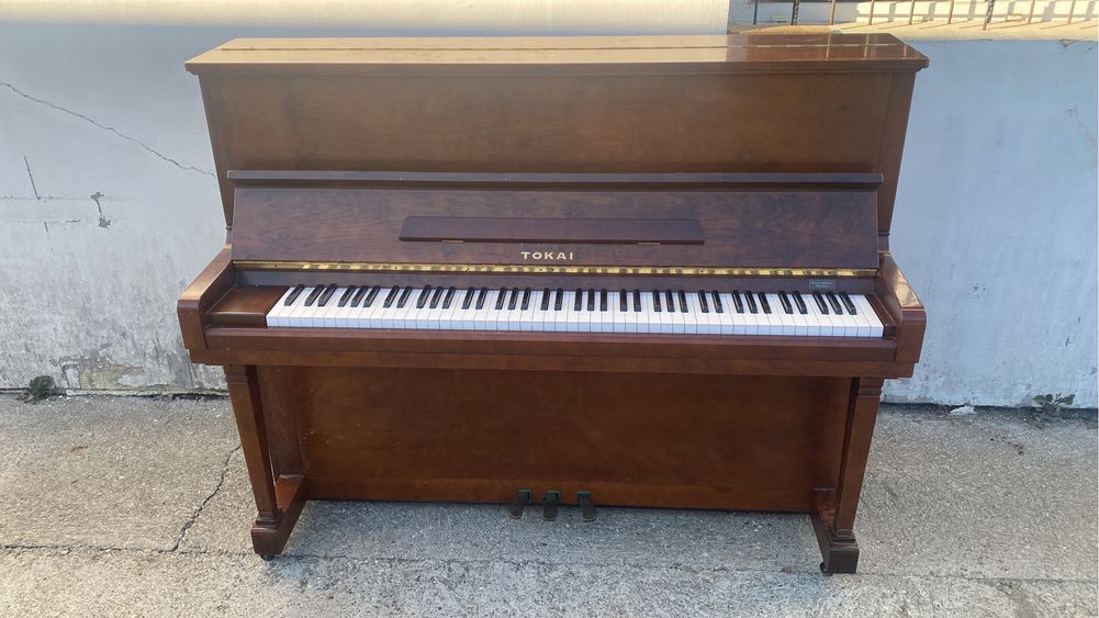 Pianina Tokai - Made in Japan