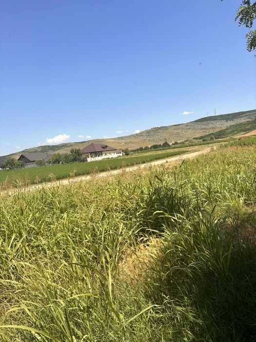 Vând/schimb teren 900mp Moara grecilor