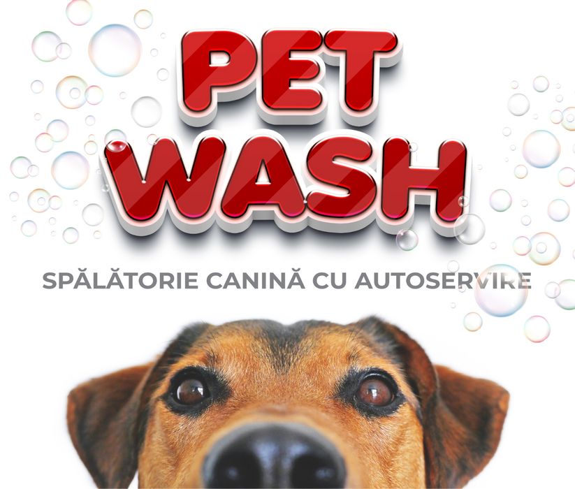 Spălătorie canină