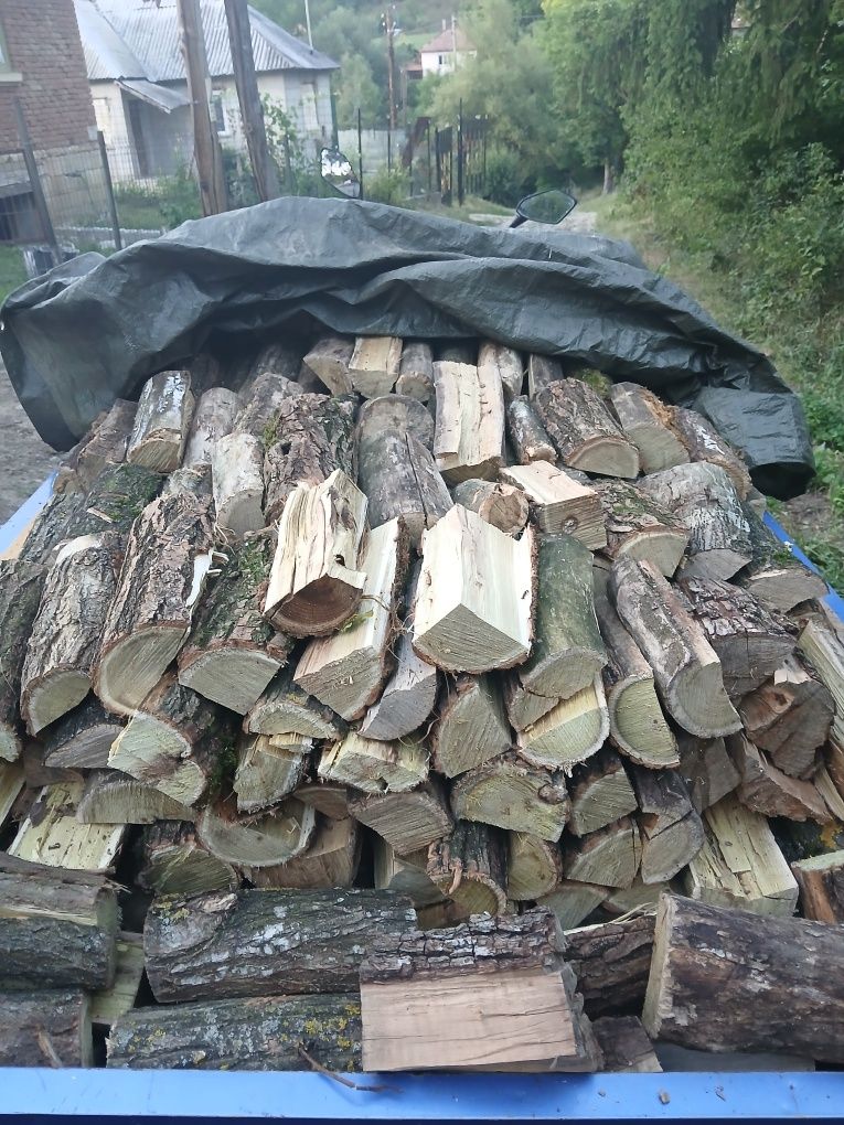 Lemne de foc crăpate