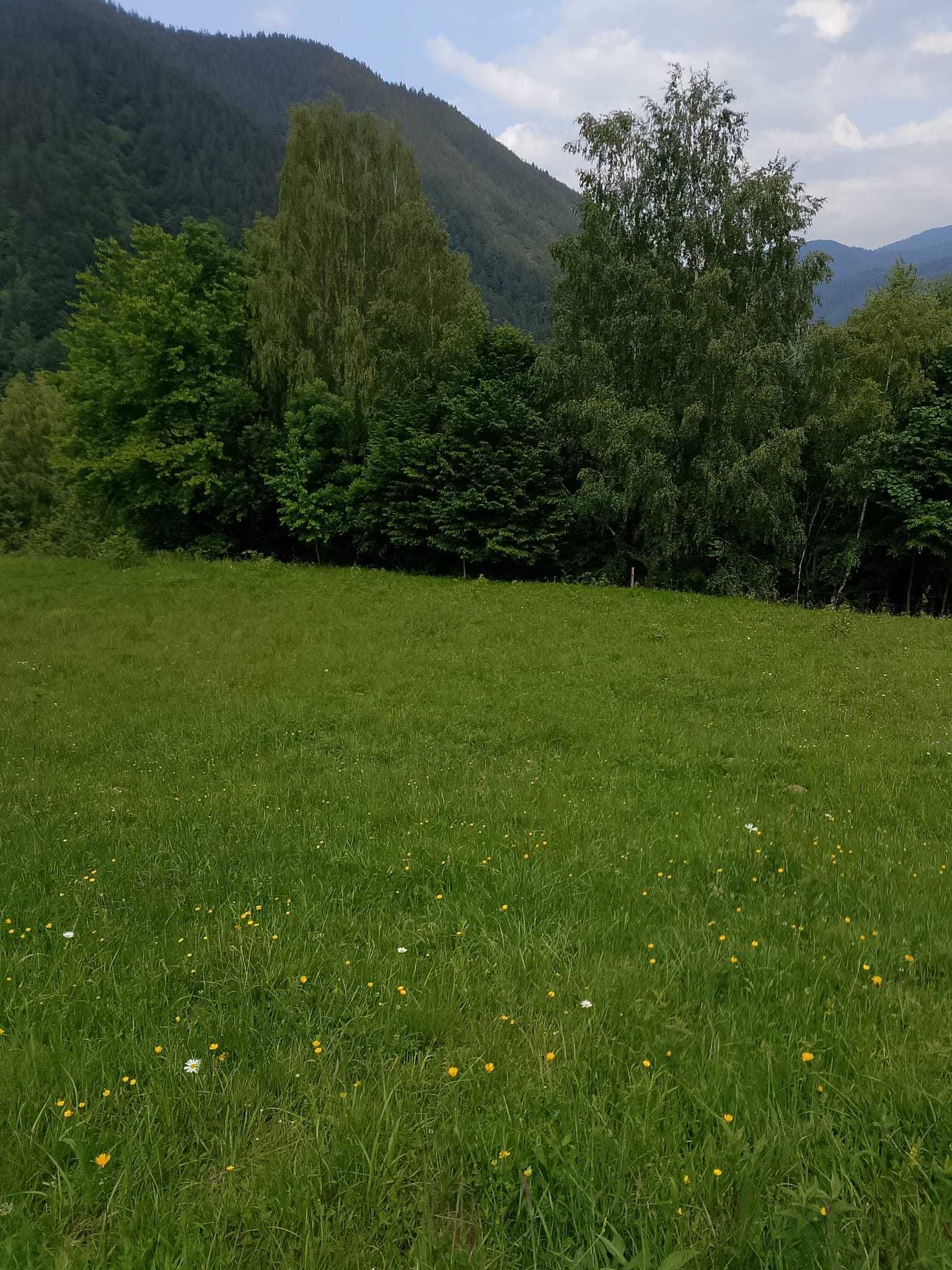 Teren intravilan Riu Sadului 18.000 mp