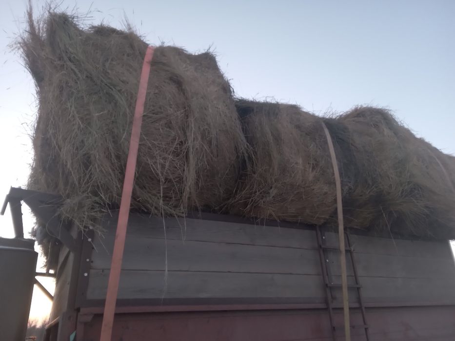 Продам рулоны сено 2023г