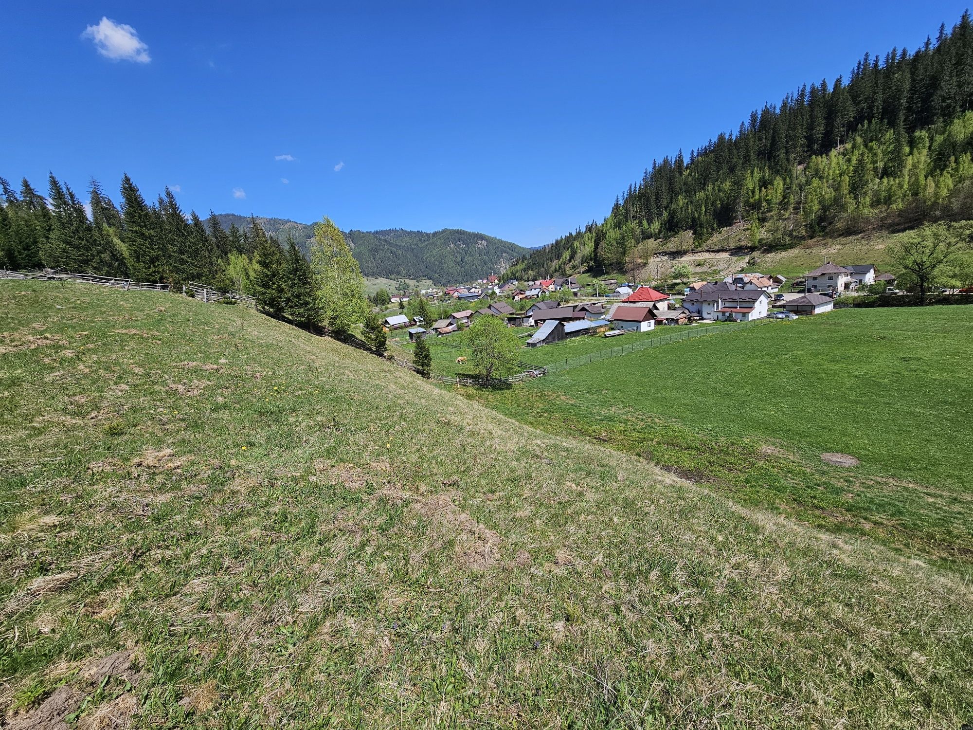 Teren de vanzare in Bucovina zona Pojorata pe Transrarau