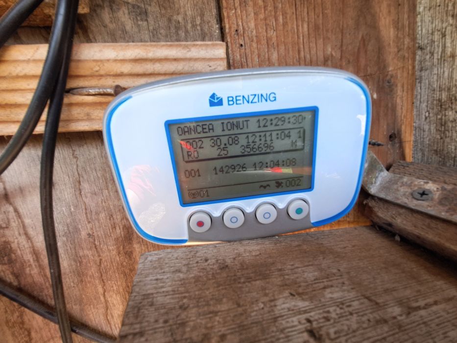 Vand Ceas Benzing G2 complet + zburati si de matca cu pedigree