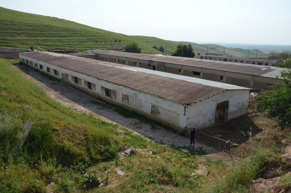 Продаётся ферма в Паркенте