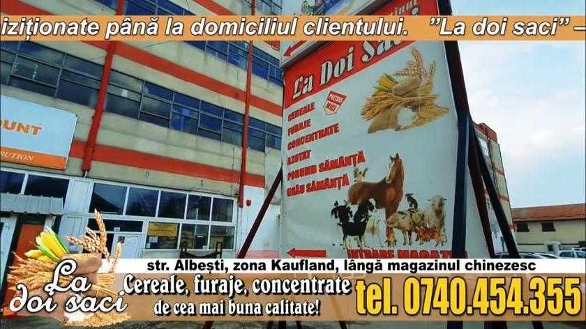 Afacere la cheie: Magazin de cereale, concentrate si furaje