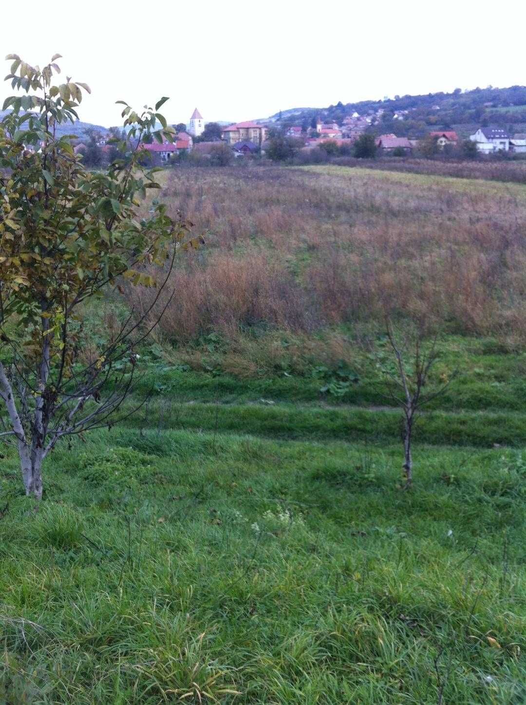 Teren 1900mp Str. Irisului Gusterita Sibiu
