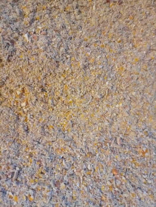 Uruială de vânzare