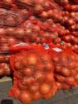 Ceapa proaspata la palet – 1,5 lei/kg cu TVA