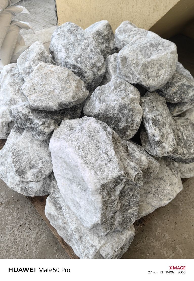 Sare bulgari, pungi 5 kg si saci 25 kg