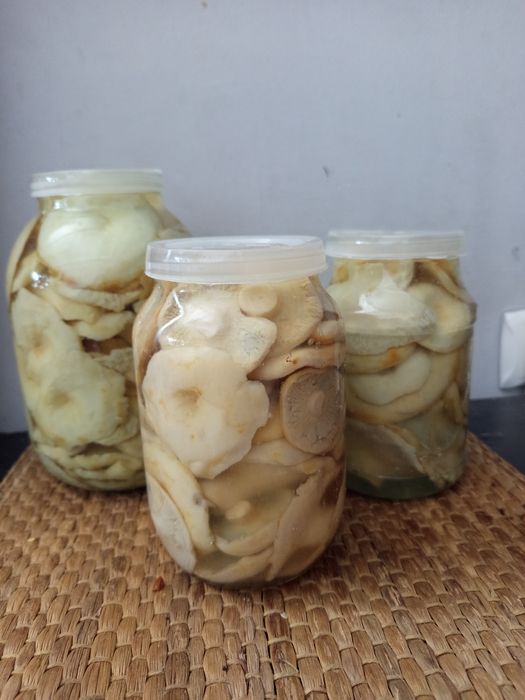 *Продам солёные грузди – 1 литр за 5000 тг*  
Чистые, вкусные, готовые
