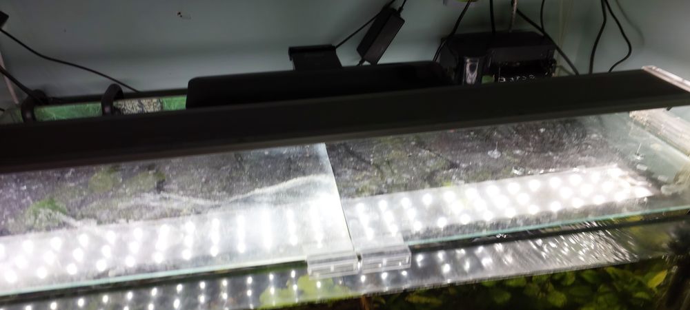 Akvarium 200 litr.