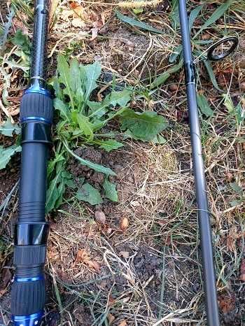 Шаранска въдица Legend Carp 3.60m, 3.75lb, 2 части