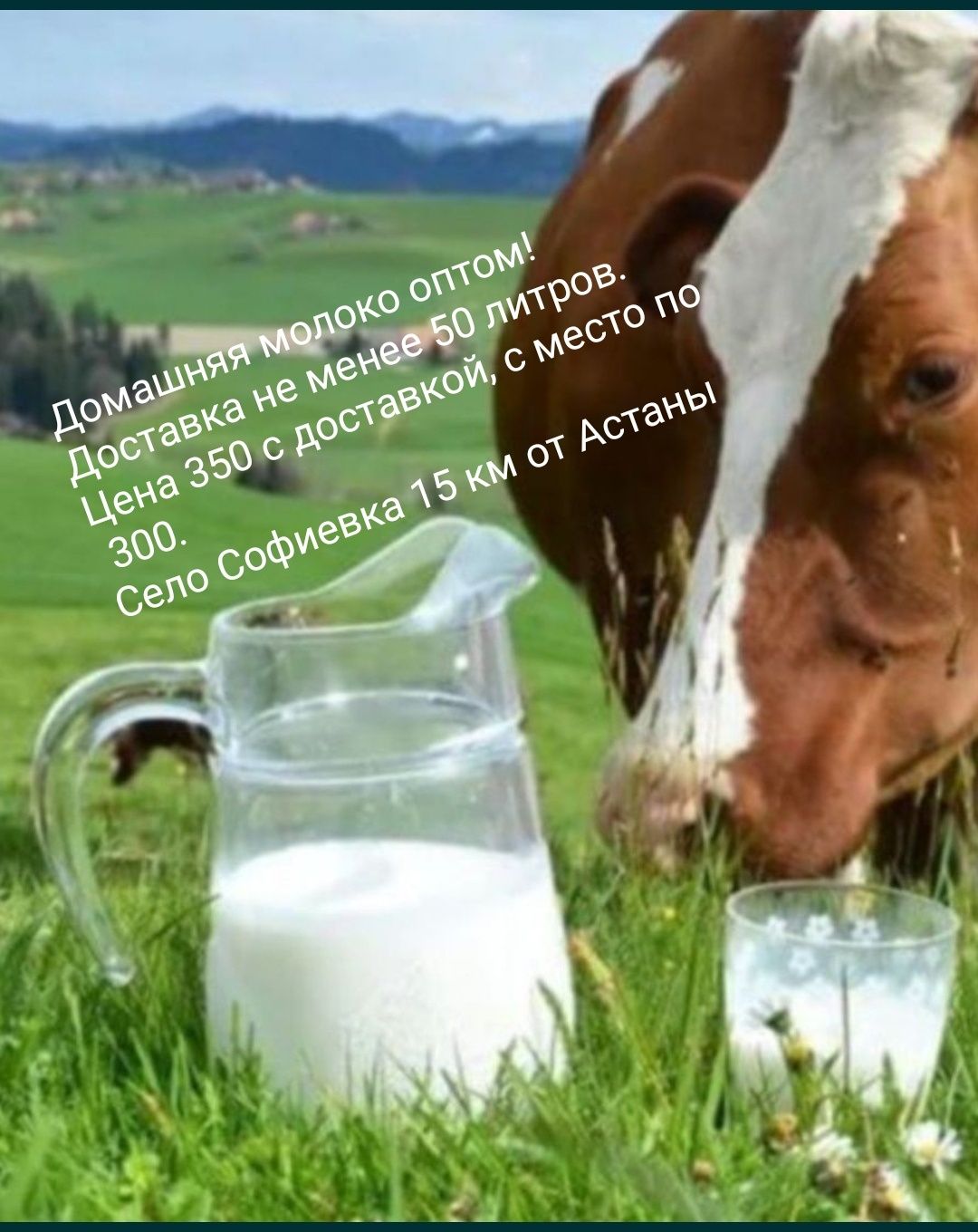 Домашнее натуральное молоко