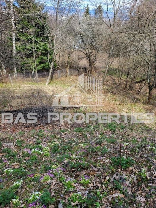 Парцел в София-в.з.Симеоново - Драгалевци площ 850