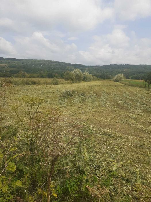 2 Terenuri - pozitii frumoase in Dobrovat - 120000 euro
