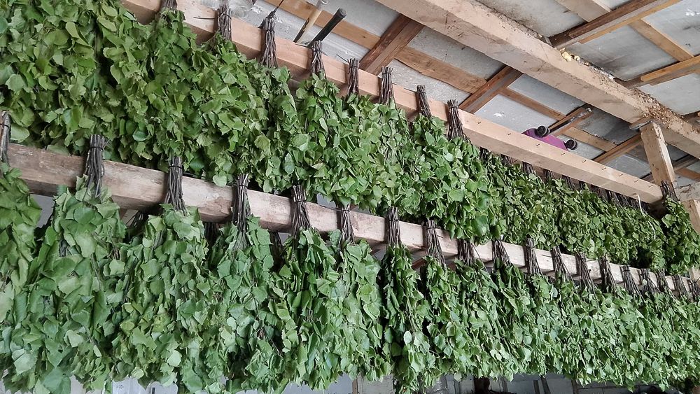 Веники для бани березовые свежие и другая дачная продукция звоните