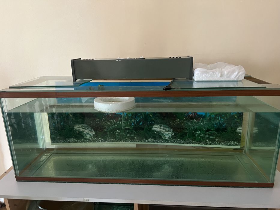 Аквариумы большие и маленькие