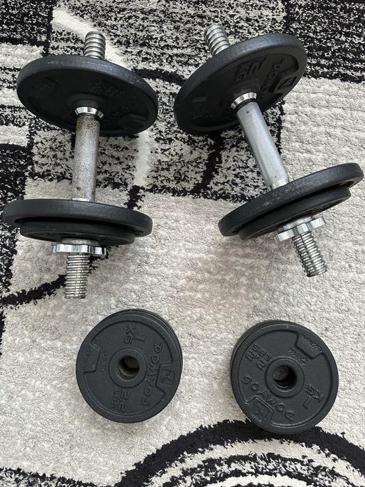 Gantere. 12,50 kg fiecare in total 25.