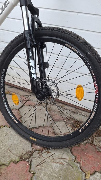 Bicicleta  Mc kenzie