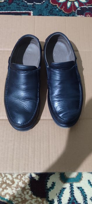 Salamadr tufli yangi