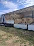 Baloti lucerna C1,C2 min40.Drept 500 sau fan.La TIR"RO UE Trans.inclus