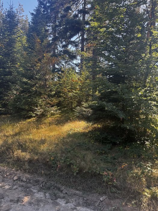 Продава се Парцел в Пловдив, Индустриална зона - Изток - 1250 кв.м за 20 €/кв.м - Снимка #3