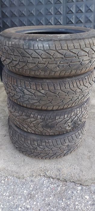 ORIUM WINTER 195/65R15 91H