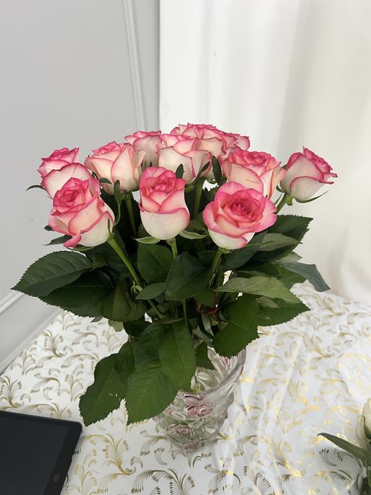 Розы свежие 15 шт