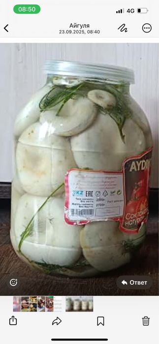 Продам грибы грузди,маслята,подтопольники 2025 г свежий посол вкусные.