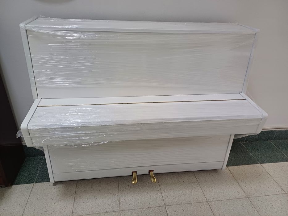 Oq rangli yangi Belarus