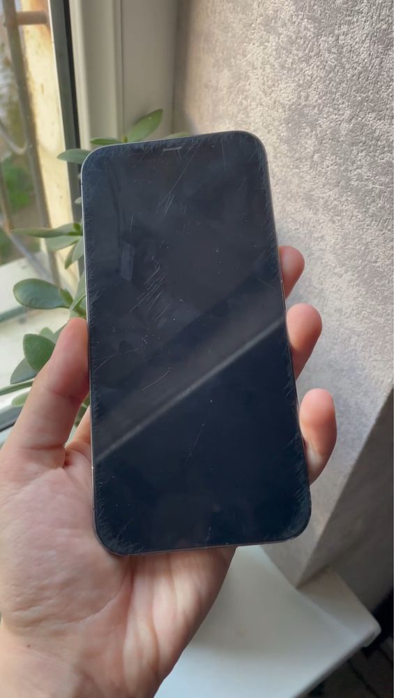 Iphone 12 pro max srochni