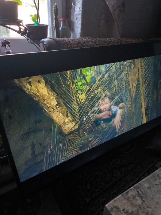 Samsung UE43NU7100