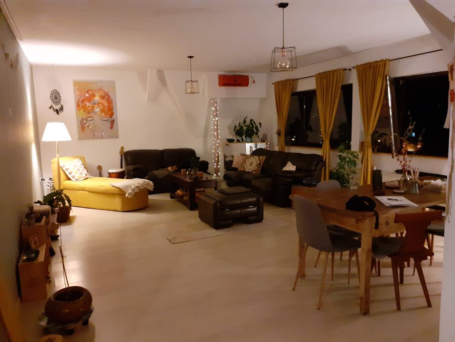 Apartament Spatios De Vanzare Torontalului Tm