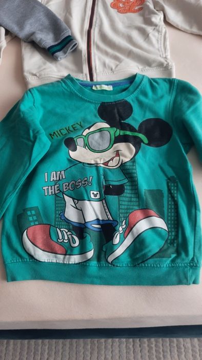 Lot hanorace/ bluze grosute marimea 110-116