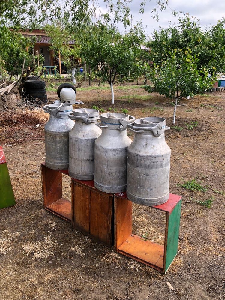 Bidoane aluminiu (25 de bucati)